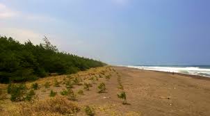 Daerah kebumen memang kurang terkenal akan potensi tempat wisatanya bila sedang berkunjung ke daerah kebumen dan mencari tempat wisata yang asyik, cobalah untuk datang ke pantai menganti. Pantai Lembupurwo Wikipedia Bahasa Indonesia Ensiklopedia Bebas