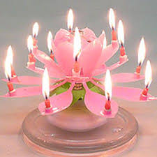 Flower Birthday Cake With Candles Images Amazing Musical Flower Birthday Candle Unique Birthday Party Candles Lotus Birthday Candle Pink Candles Happy Birthday Candles