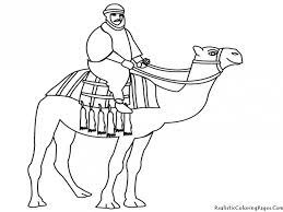 How to draw a camel. Camel Pictures For Kids Coloring Home
