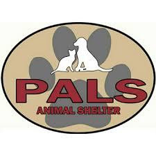 There are so many dogs and cats out there in florida that need a permanent home, so please try expanding your search for the pet you want to adopt. Pets For Adoption At Pals Animal Shelter Of Lincoln County Missouri In Hawk Point Mo Petfinder