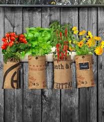 Mini Garten Aufhangeleiste Mit Bildern Mini Garten Pflanzen Garten Kaufen