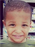 Julian Williams Obituary (2015)