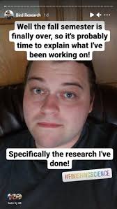 The Significance of Statistical Insignificance