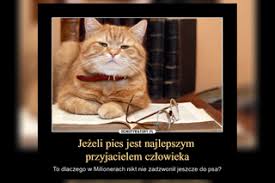 Tę stronę ostatnio edytowano 30 maj 2021. Dzien Kota 2021 Wiadomosci Informacje Eska Pl