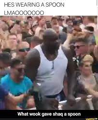 Pin On Funny Shaquille O Neal Memes