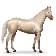 images?q=tbn:ANd9GcSCntpP6WW-4QrdyjqynU5XNUUEAB0EQUl1rg&usqp=CAU