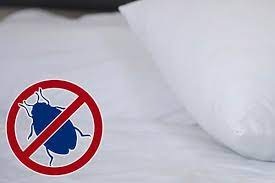 Expert recommended top 3 pest control companies in sunshine coast, qld. Bed Bugs Pest Control Qld