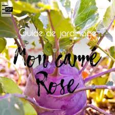 Mon Potager En Carre Rose Laissez Vous Guider Avec Ce Pas A Pas Complet Qui Vous Precise Comment Creer Votre Potager En Car Carre Potager Permaculture Potager