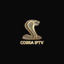 تطبيق للهواتف الذكية android و android tv box. Apk Infinity Sat