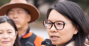 Chyanne Chen wins drawn-out race for District 11 supervisor