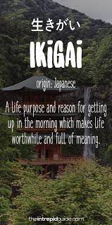 One of our favorite beautiful words, demure is used to describe any modest and reserved behavior. 203 Most Beautiful Untranslatable Words The Ultimate List A Z The Intrepid Guide