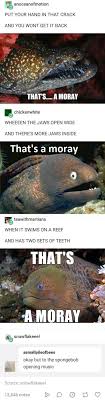 Until I Read The Last Line I Thought You Were Supposed To Sing The Song That S Amore Funny Memes Tumblr Funny