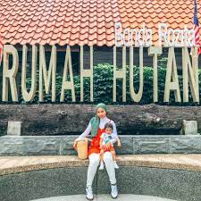 Idiahus 11.536 views7 months ago. Family Trip Di Rumah Hutan Batang Kali Siap Ada Spa Memang 5 Bintang La Libur