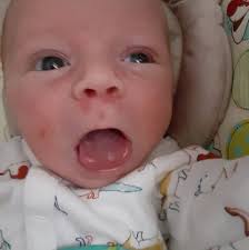 Saukville Fire Department