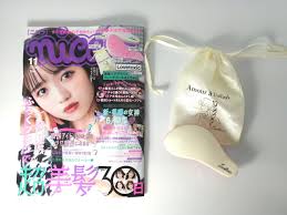 開封レビュー】nicola(ニコラ) 2021年 11 月号《特別付録》ラブトキシック 美髪ヘアブラシ＆フレンチガール巾着 | 付録ライフ