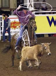 Roy Cooper Of Childress Tx During The First Round Of The National Finals Steer Roping Roping Horse Rodeo Cowboys Rodeo Horses