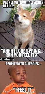 Mrw my body encounters an allergen. Funny Pictures Of The Day 92 Pics Funny Pictures Funny Animals Funny
