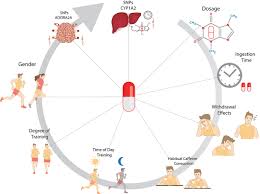 The maximum withdrawal is rs.500, only can withdraw once per day, and it will take 3 workdays for transferring. Frontiers Caffeine And Exercise Performance Possible Directions For Definitive Findings Sports And Active Living