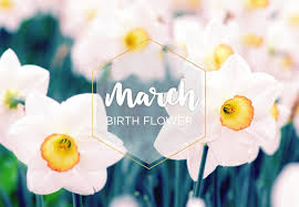 Like the gladiolus, it symbolizes remembrance. March Birth Flower Daffodil Ftd Com