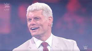 undashing — pink carnations part 1