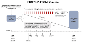 Oct 09, 2019 · asbestos is widely used, and despite legislation it is still everywhere in the environment. Esmo Press Mesothelioma Cancer Promisemeso Popat