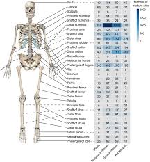 Image result for Fractures in Children