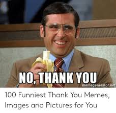 These are nice, cute memes that could be used in most situations. No Thank You Meme Funny Funny Png
