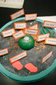 Check spelling or type a new query. 7th Grade Cell Project Brook Hill School Tyler Tx