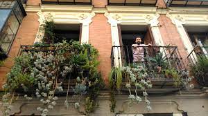 Plantar el balcón es algo que cada fan de la planta le da un valor especial. Sanar Olvidadizo Esquivo Plantas De Balcon Colgantes Motivacion Brillante Seguro