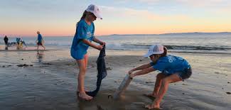 Humans depend on thriving populations of fish for sources of food. Life Science Elementary Resources National Oceanic And Atmospheric Administration