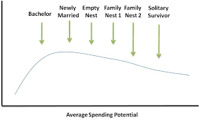 what is the family life cycle stages and strategies of