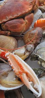 Vincent Brun Fruits De Mer Food Inspiration Food Safety Training Food