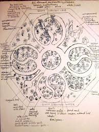 Garden Designs Creating A Mandala Blog Within Permaculture Design Design Garten Grundriss Gartenplanung Permakulturgarten