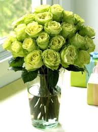 M & m's coupons black swallow discounts farmgirl flowers discounts jimmy john's coupons trainheroic coupons big bud press coupons beauty there's a renee cosmetics coupon code for 20% off that we discovered last year. Organic Bouquet Eco Elegant Flower Delivery Green Rose Green Flowers Flower Delivery