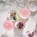 Wild Mixology with Laura Chávez Silverman