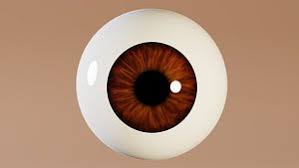 Check spelling or type a new query. Eyes Blender Models For Download Turbosquid
