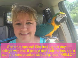 Sandra Joy (Kelley) Allison Obituary April 8, 2025