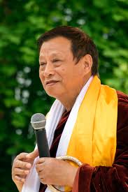 world peace and health organization