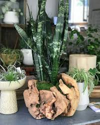 Our Happy Flower Discount Is 20 Off All Wooden Items Today And Tomorrow Succulove Houseplantclub Garden In The Woods Happy Flowers Garden Design