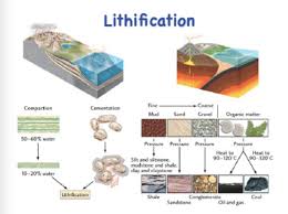 We did not find results for: The Rock Cycle Timeline Timetoast Timelines