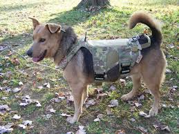 Forum Diy Tactical Tactical Dog Gear Dogs K9 Harness