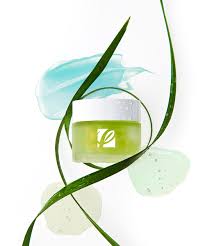 Private label manufacturing services for nutraceutical/supplement, first aid, topical pain relief, cbd, hair, sun, skin, body and personal care products. Cosmetic Solutions Innovation Labs Your Contract And Private Label Skin Care Manufacturer Cosmetic Solutions