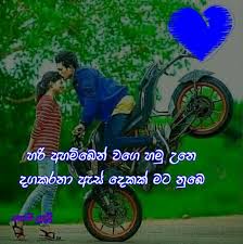 We did not find results for: Sindu Wadan Fotos Facebook