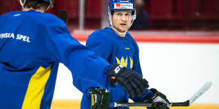 He was drafted in the fifth round, 85th overall, by the detroit red wings in the 1986 nhl entry draft. Garpenlov Familj