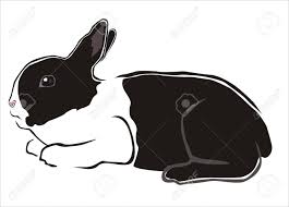 Disegno Di Un Coniglio Bianco E Nero Disegni Disegno Coniglio Bianco E Nero