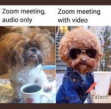 Zoom memes are leaving people in splits.(twitter/@funny53182966). Funny Zoom Meeting Memes Funny Zoom Meeting Really Funny Memes Funny Relatable Memes Crazy Funny Memes
