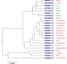 Dna in turn is the genetic information for making new copies of an organism or part of one. Alignment Free Method For Dna Sequence Clustering Using Fuzzy Integral Similarity Scientific Reports