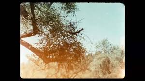 In the psychology of carl jung, he is the animus, the inner spirit of a woman. The Woman With A Suitcase Anabravoperez