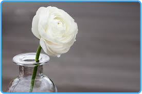 ‫ﺍﺗﺤﺎﻑ ﺃﻫﻞ ﺍﻟﺰﻣﺎﻥ‬ ‫ﺑﺎﺧﺒﺎﺭ ﻣﻠﻮﻙ ﺗﻮﻧﺲ ﻭﻋﻬﺪ ﺍﻻﻣﺎﻥ‬ ‫3697‬ ‫ﺍﻻﻫﺪﺍﺀ‬ ‫ﺑﺴﻢ ﺍﷲ ﺍﻟﺮﺣﻤﻦ ﺍﻟﺮﺣﻴﻢ‬ ‫ﺍﻟﺤﻤﺪ ﷲ ﺍﻟﺬﻯ ﻳﻬﺪﻯ. 056 Ø³ÙˆØ±Ø© Ø§Ù„ÙˆØ§Ù‚Ø¹Ø© Ù…ÙˆØ³ÙˆØ¹Ø© Ø§Ù„Ù†Ø§Ø¨Ù„Ø³ÙŠ Ù„Ù„Ø¹Ù„ÙˆÙ… Ø§Ù„Ø¥Ø³Ù„Ø§Ù…ÙŠØ©