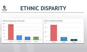 Discrimination in the workplace defined and explained with examples. Malaysiakini Elephant In The Racial Discriminatory Employment Room